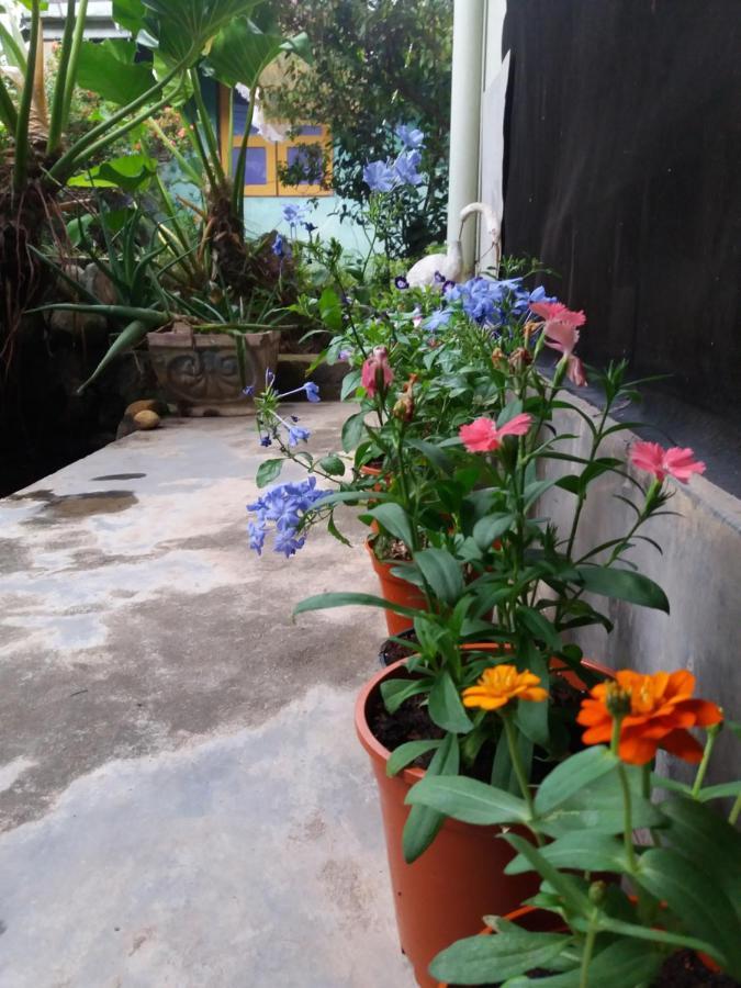 Mazz Homestay Negombo Extérieur photo
