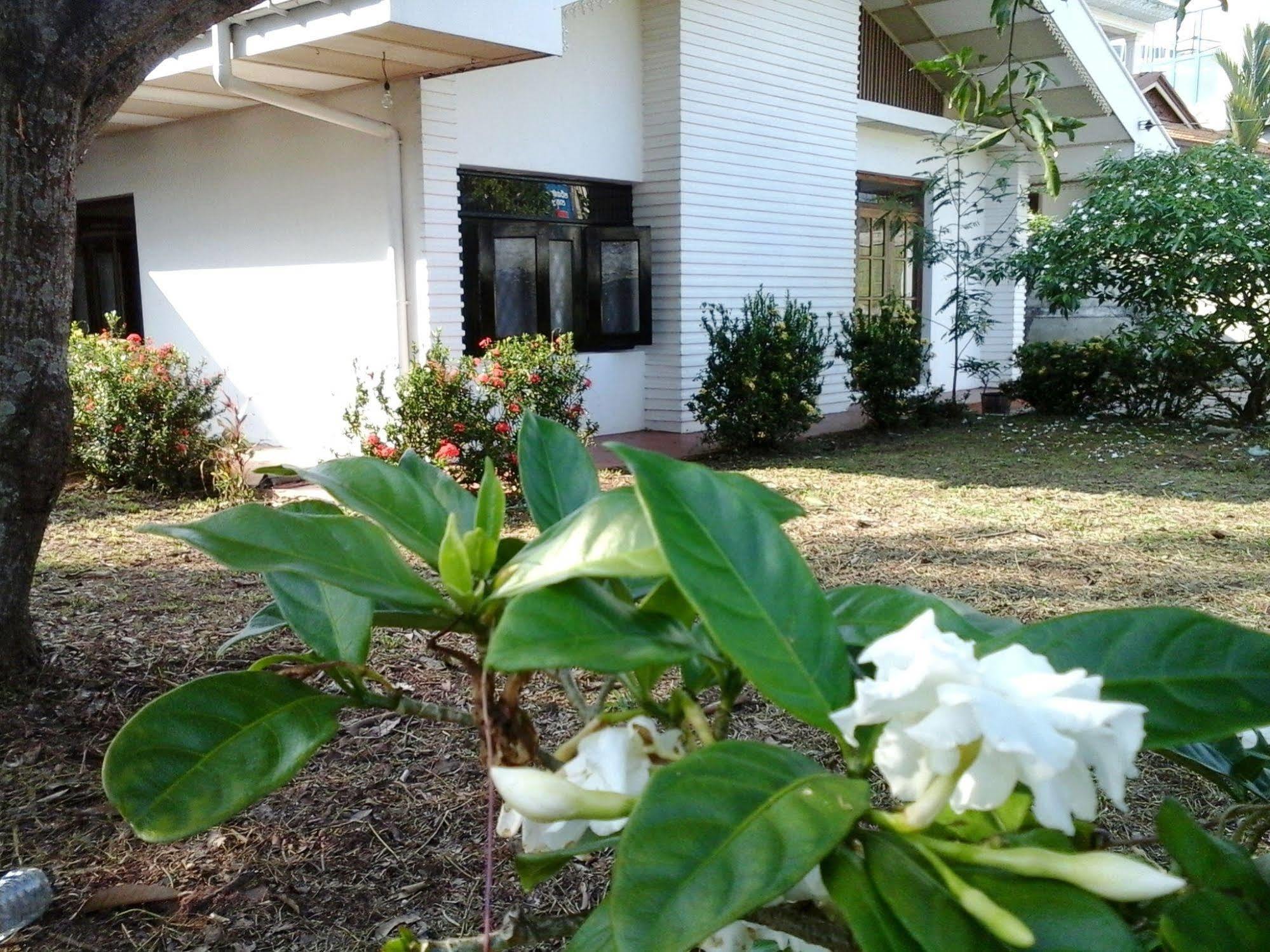 Mazz Homestay Negombo Extérieur photo