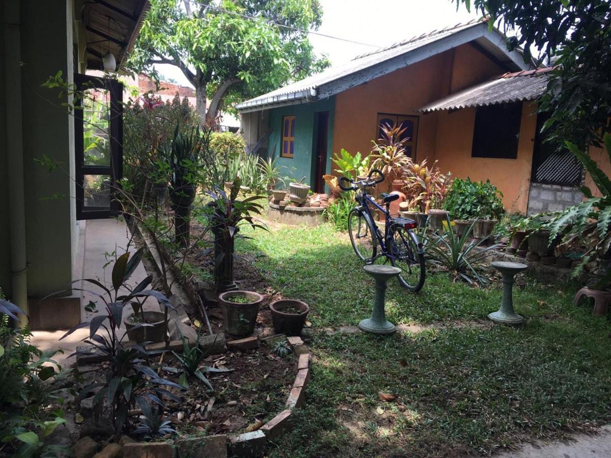 Mazz Homestay Negombo Extérieur photo