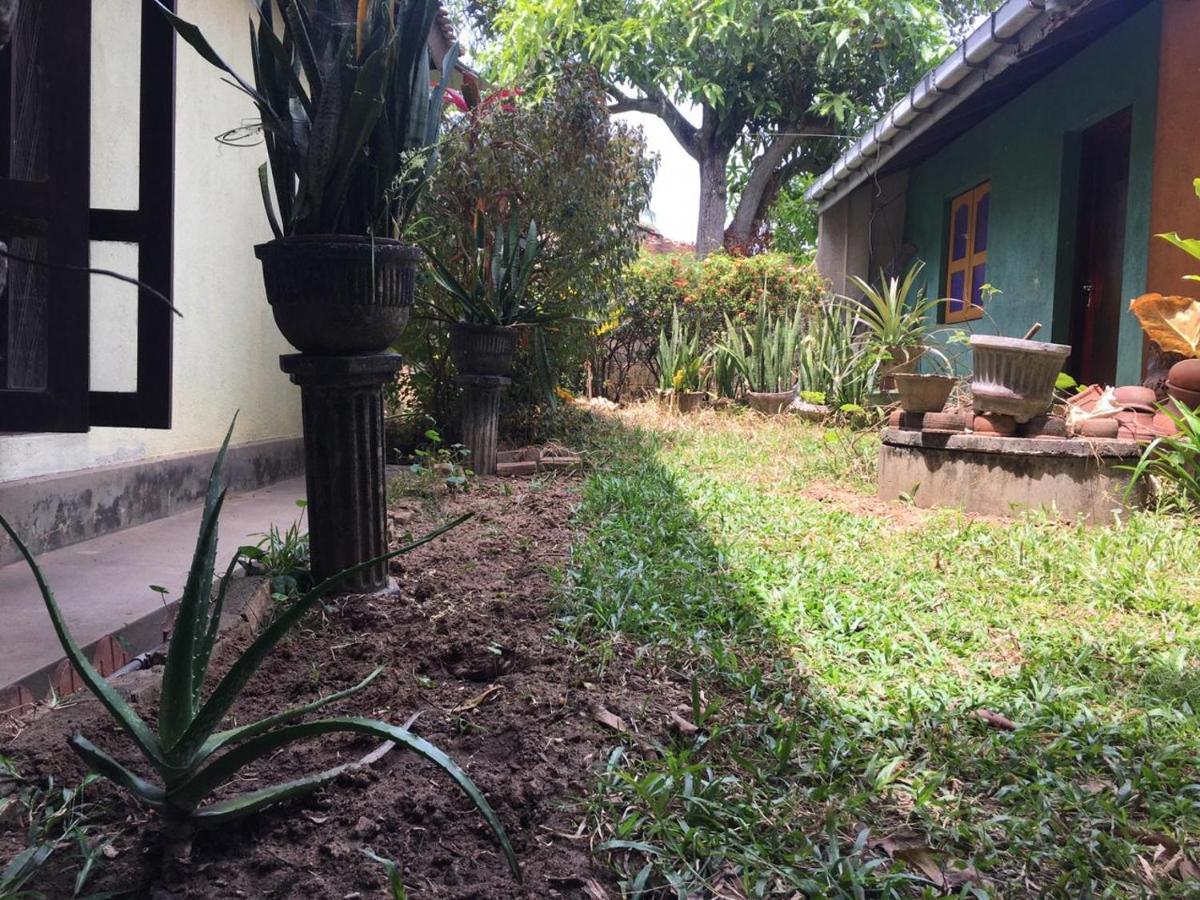 Mazz Homestay Negombo Extérieur photo